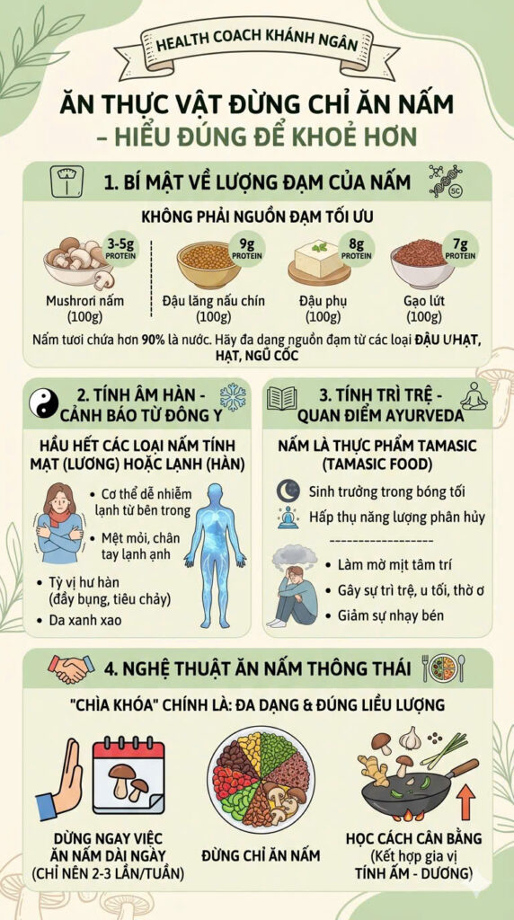 Bảng so sánh lượng protein trong 100g nấm rơm, đậu phụ và đậu lăng. Nấm chứa ít đạm hơn các loại đậu hạt, chủ yếu cung cấp vi chất và hương vị umami cho món chay.